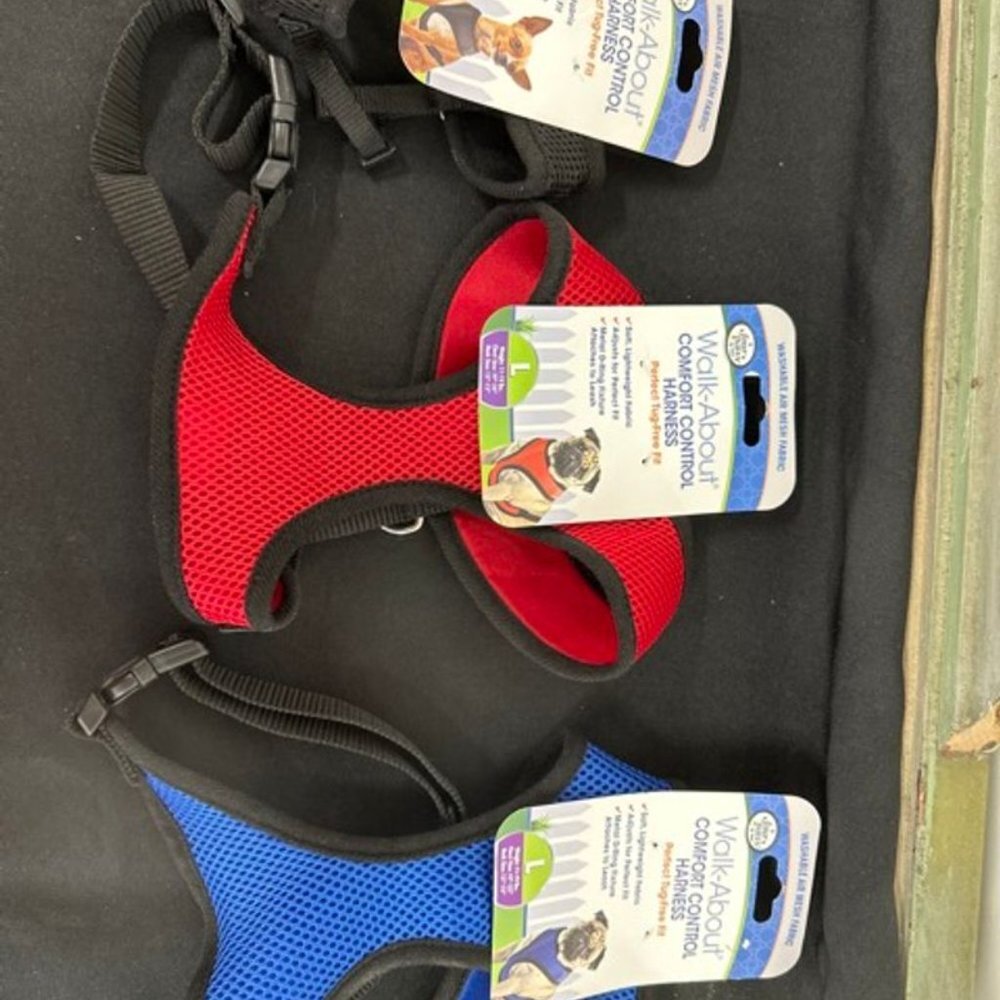 Harnesses and Collars - Picture 3 of 10